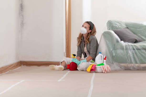 Reliable Attic Mold Removal contractor in Edgewater, MD by WQB Mold Removal